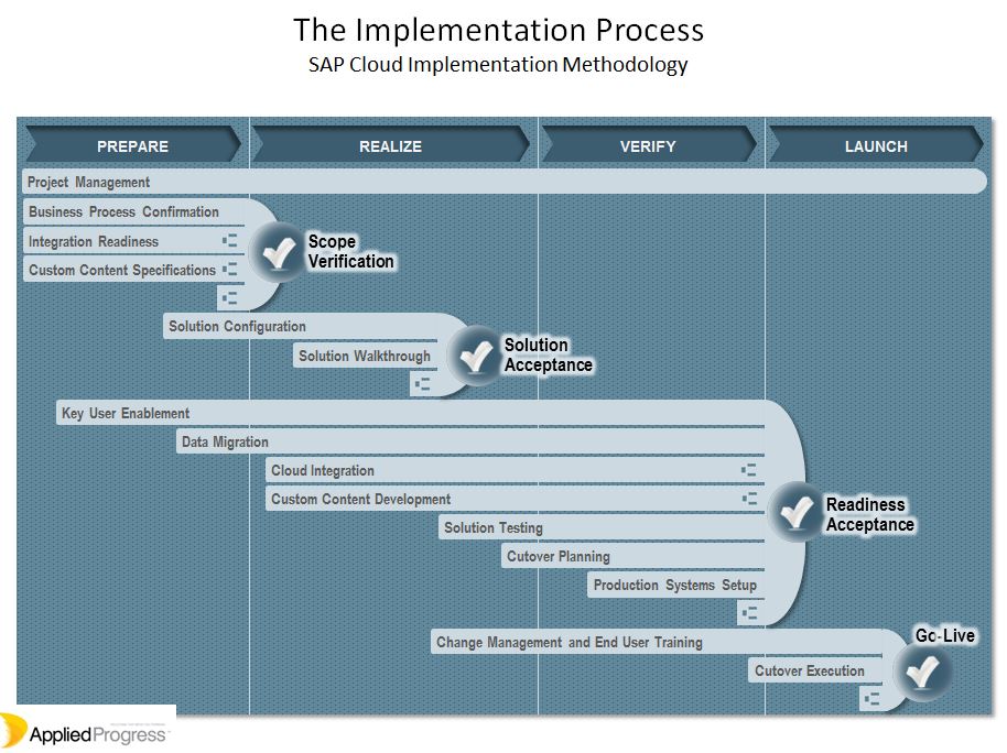 Capture-implementation process